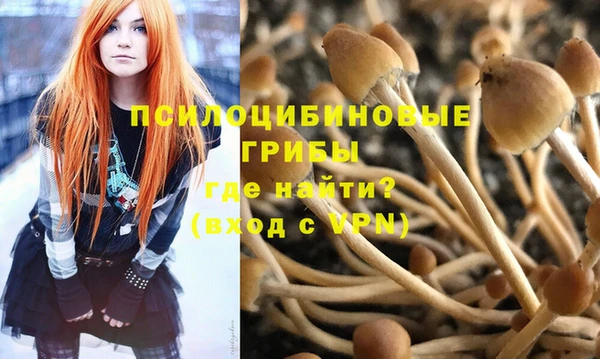 spice Верея
