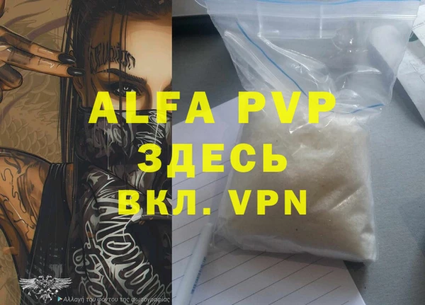 spice Верея