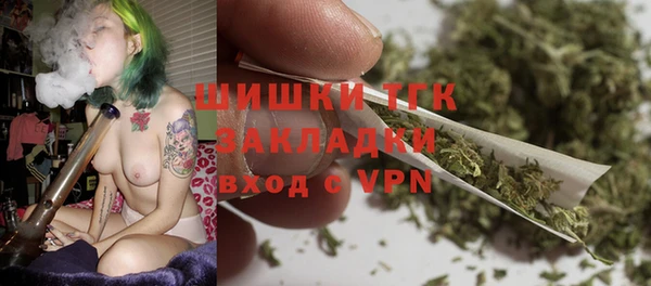 spice Верея