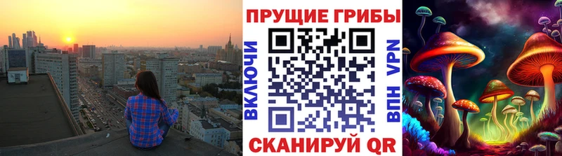 Псилоцибиновые грибы Psilocybine cubensis  что такое   Новое Девяткино 